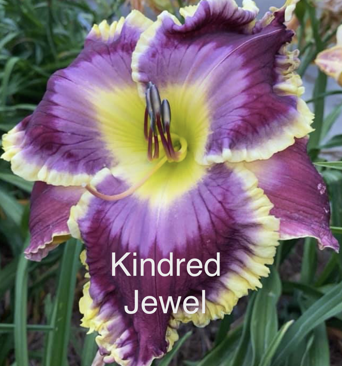 Kindred Jewel* - SF - NEW LOWER PRICE