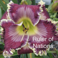Ruler of Nations* - Display