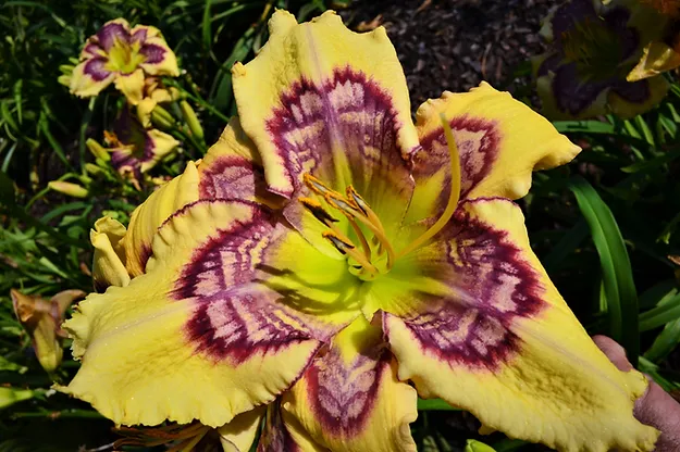 Orderly Fashion* - DISPLAY